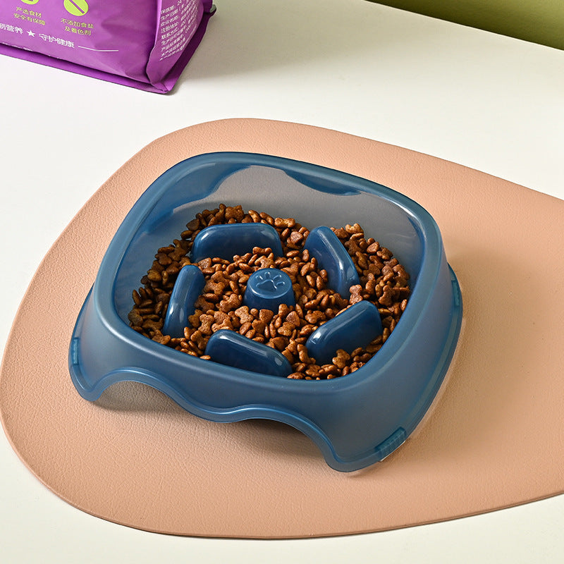 Plastic feeder for small dogs