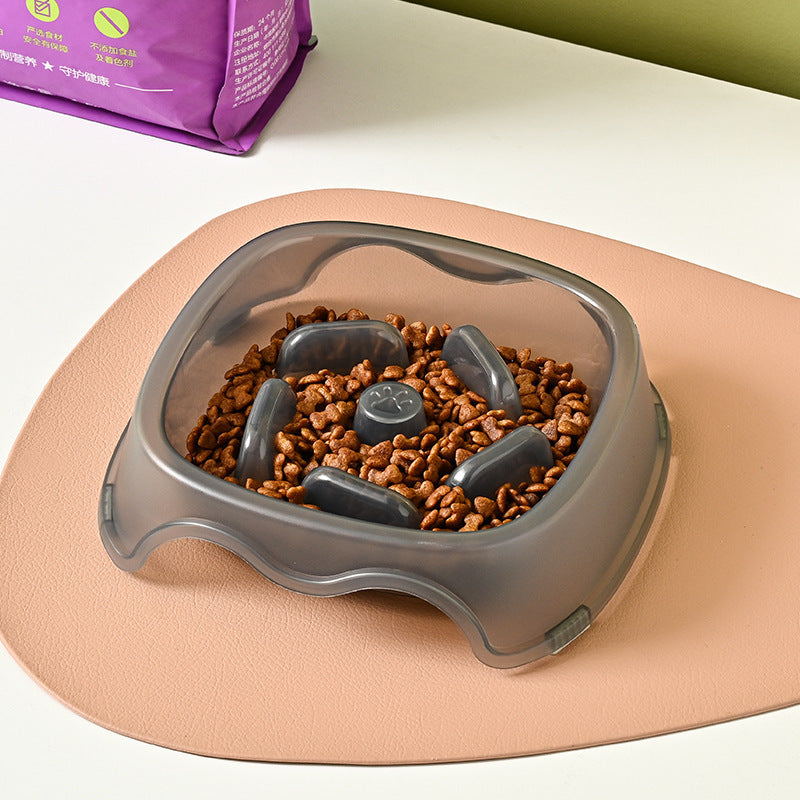 Plastic feeder for small dogs