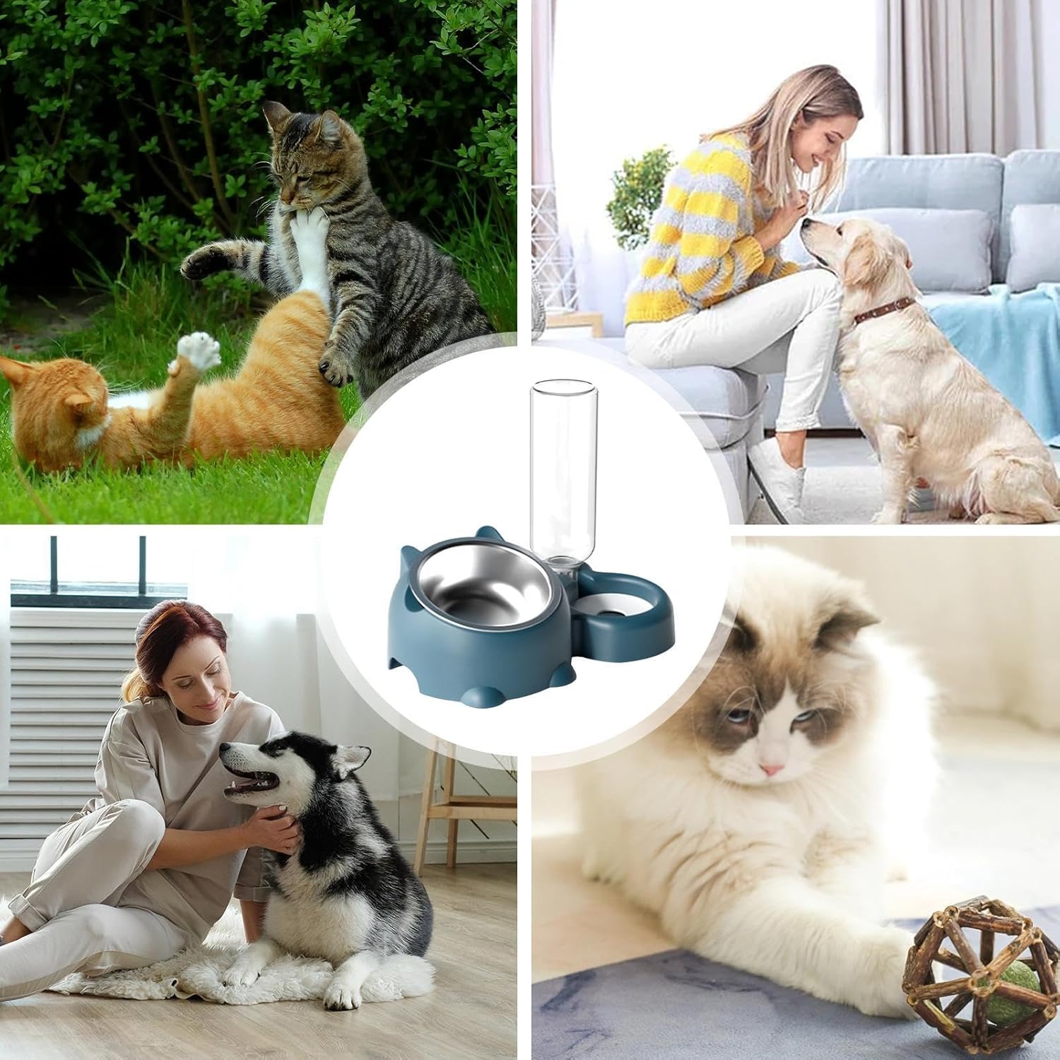 Feeder and water dispenser set for cats and dogs