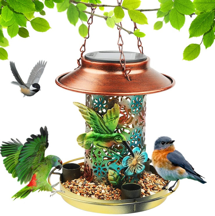 Solar bird feeder