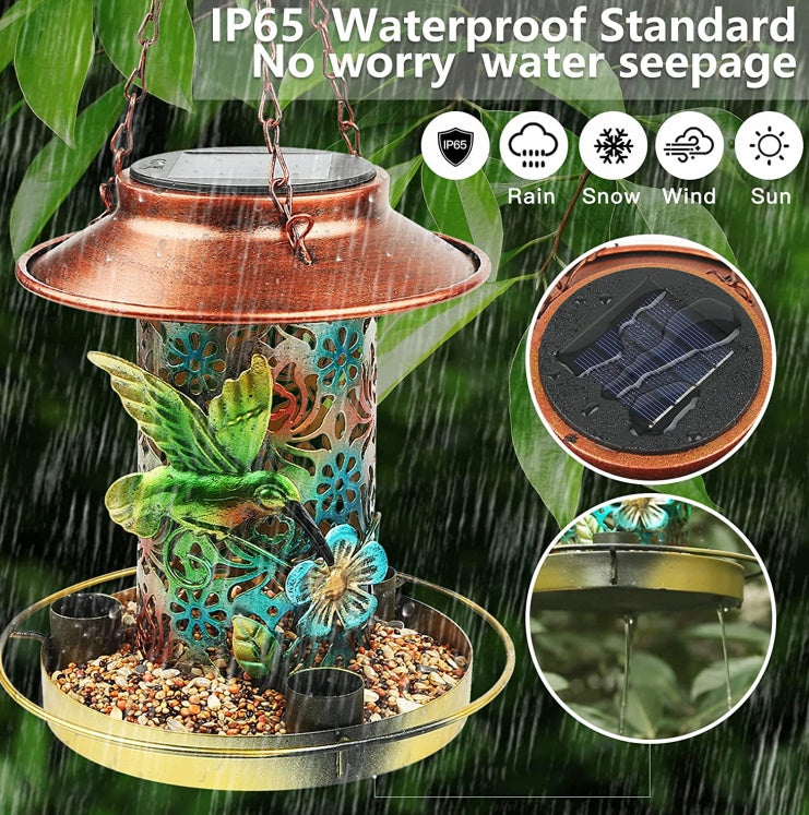 Solar bird feeder